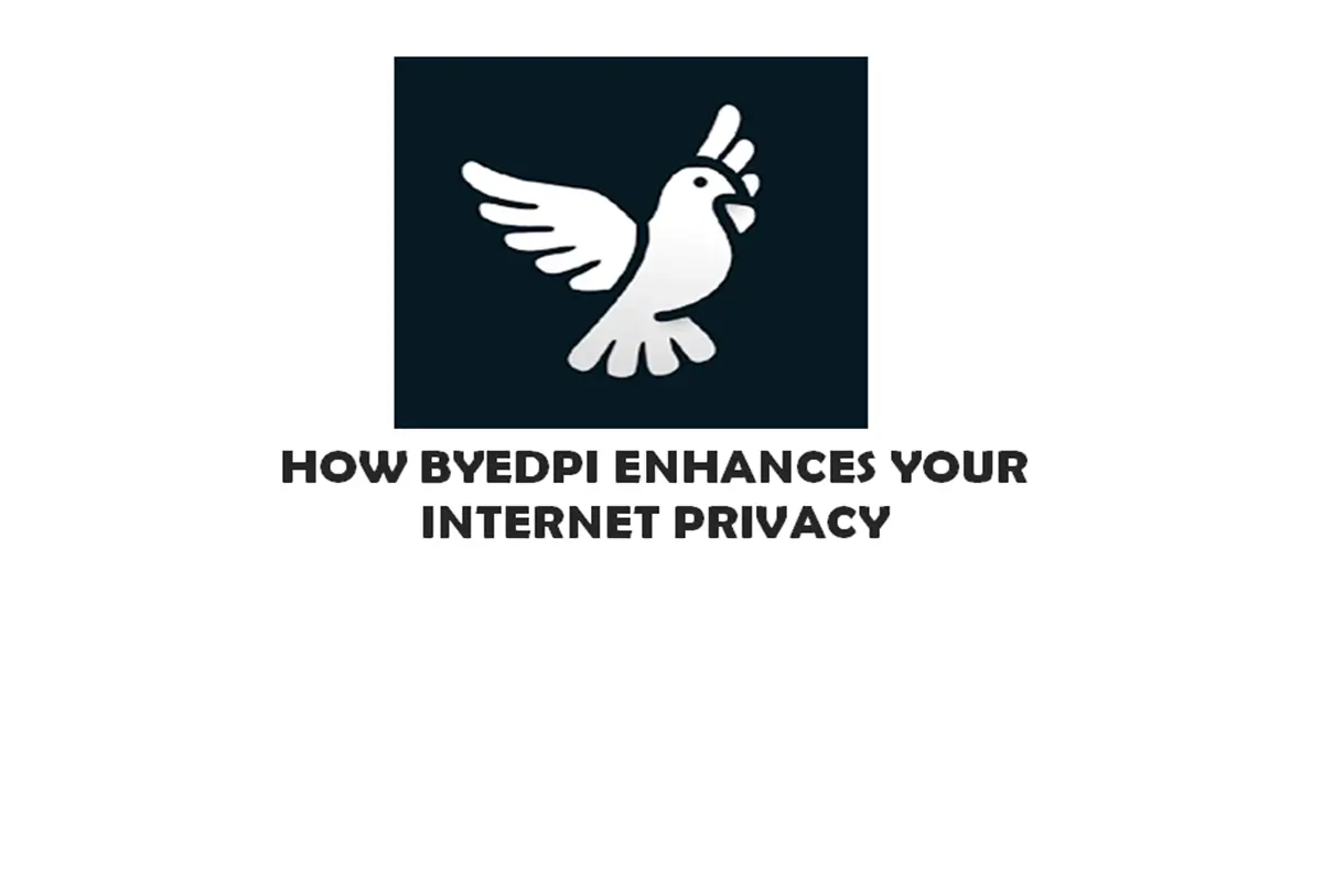 How ByeDPI Enhances Your Internet Privacy: A Guide